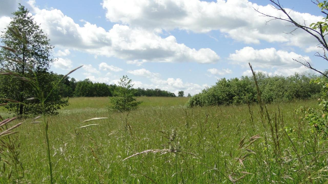 Agroturystyka Zywe Kruklanki Dış mekan fotoğraf