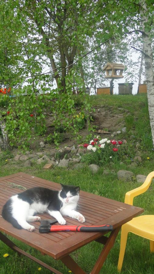 Agroturystyka Zywe Kruklanki Dış mekan fotoğraf
