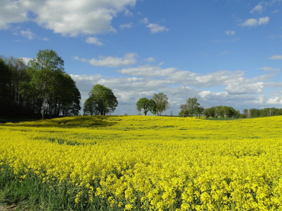 Agroturystyka Zywe Kruklanki Dış mekan fotoğraf