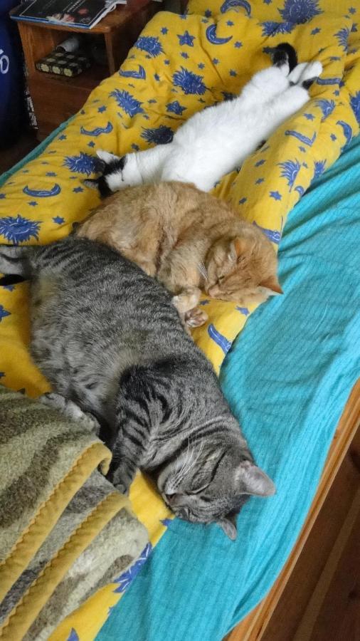Agroturystyka Zywe Kruklanki Dış mekan fotoğraf