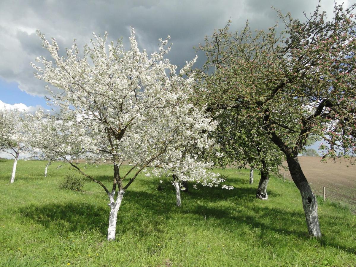 Agroturystyka Zywe Kruklanki Dış mekan fotoğraf