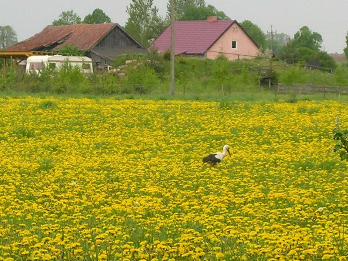 Agroturystyka Zywe Kruklanki Dış mekan fotoğraf